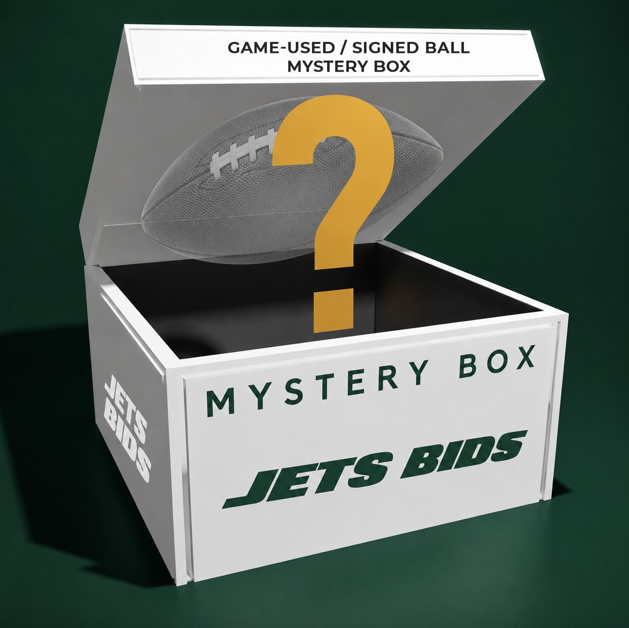 Game-Used / Signed Ball Mystery Box