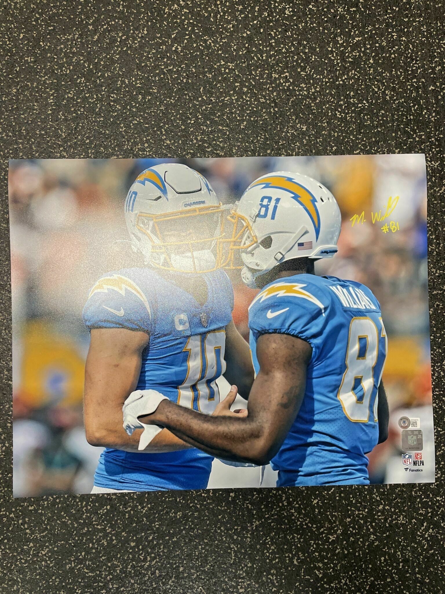 Mike WIlliams Signed 16x20 With QB