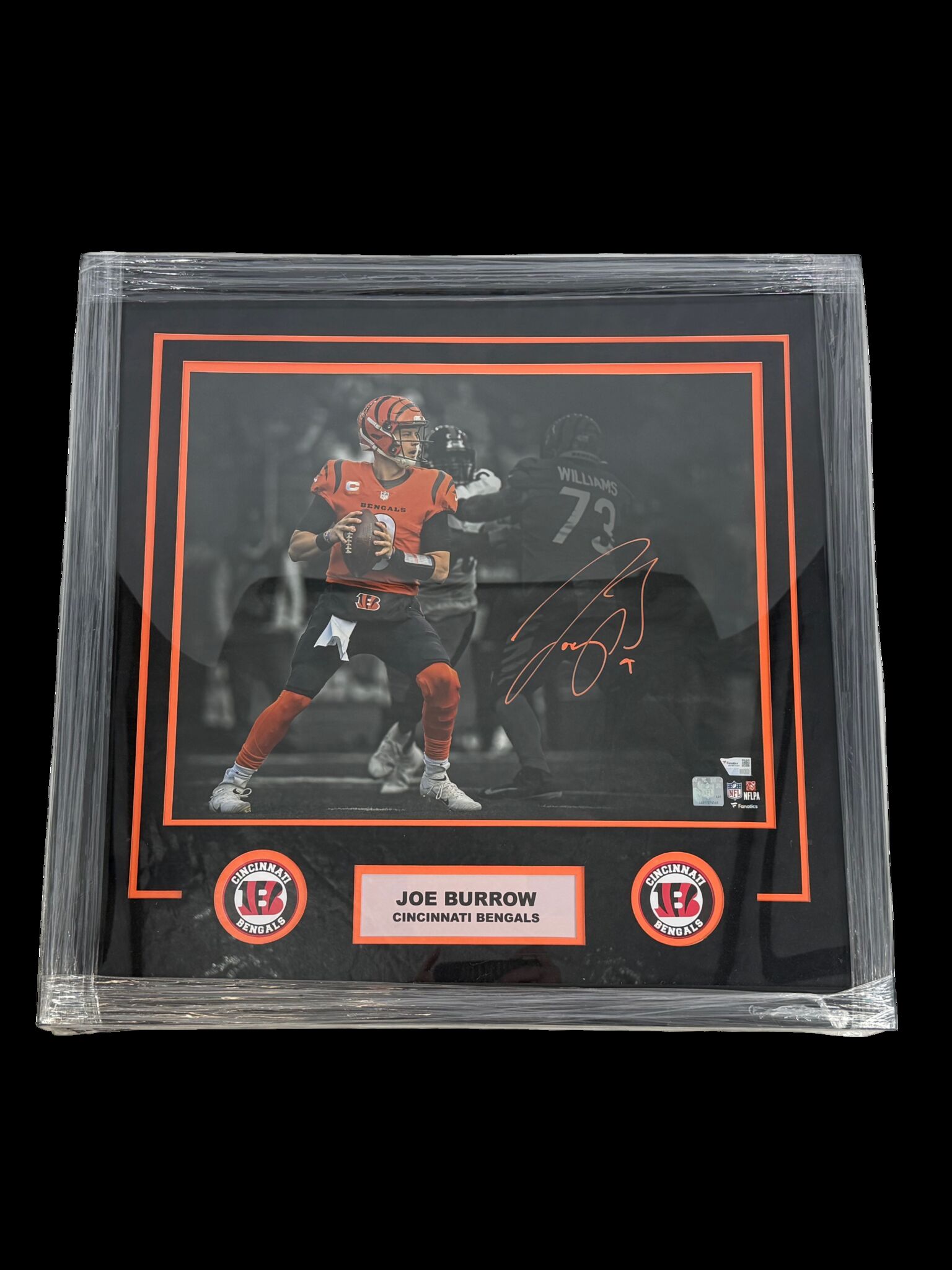 Joe Burrow Autographed 16x20 Custom Framed Photo Fanatics Coa