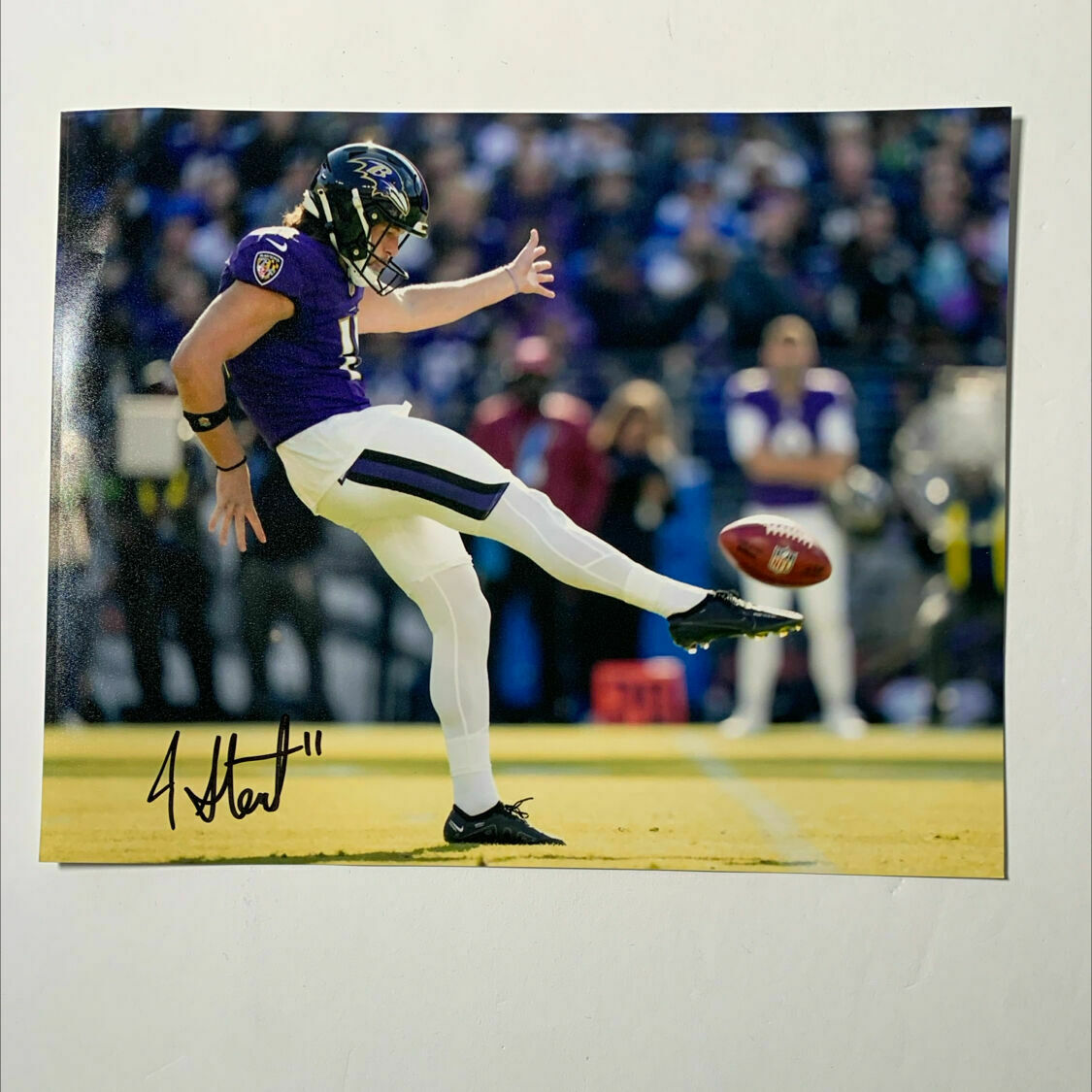 Stout Signed 8x10 Punt