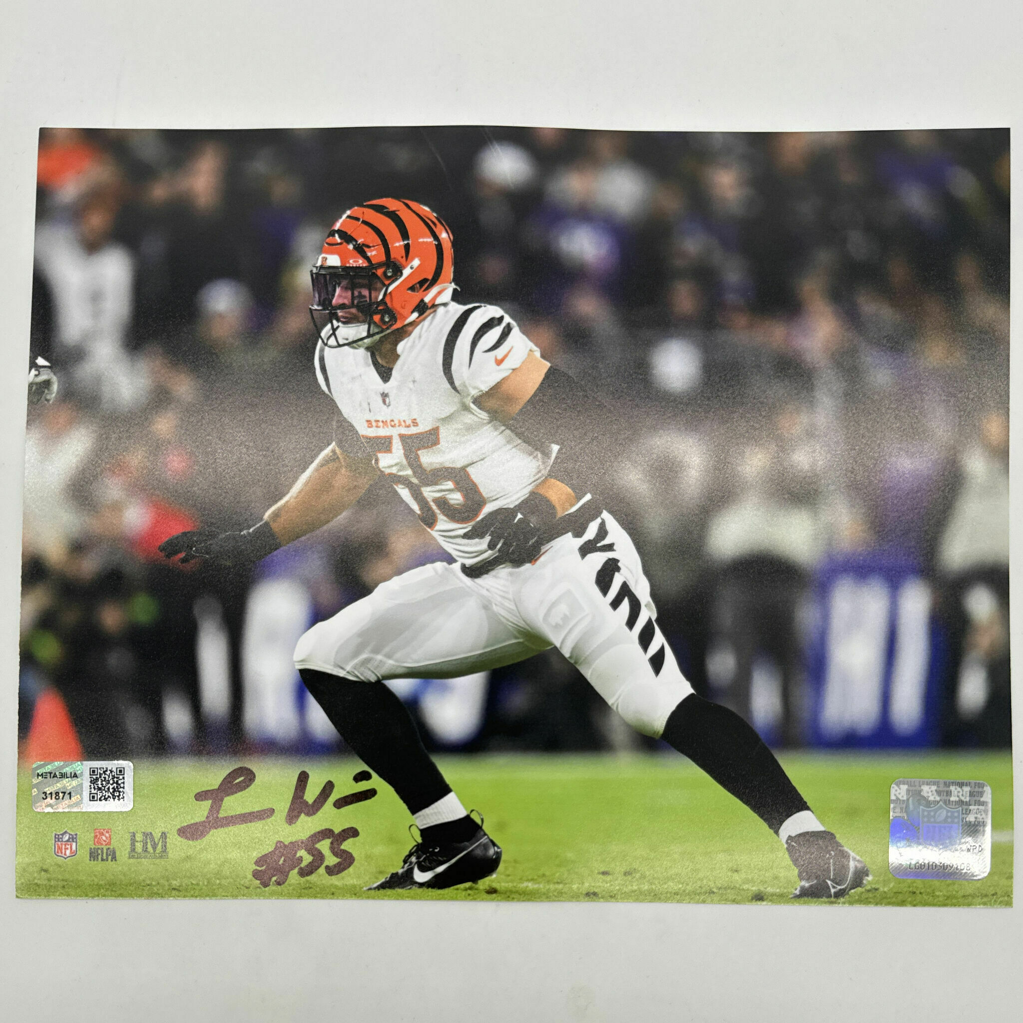 Logan Wilson Signed 8x10 Stance