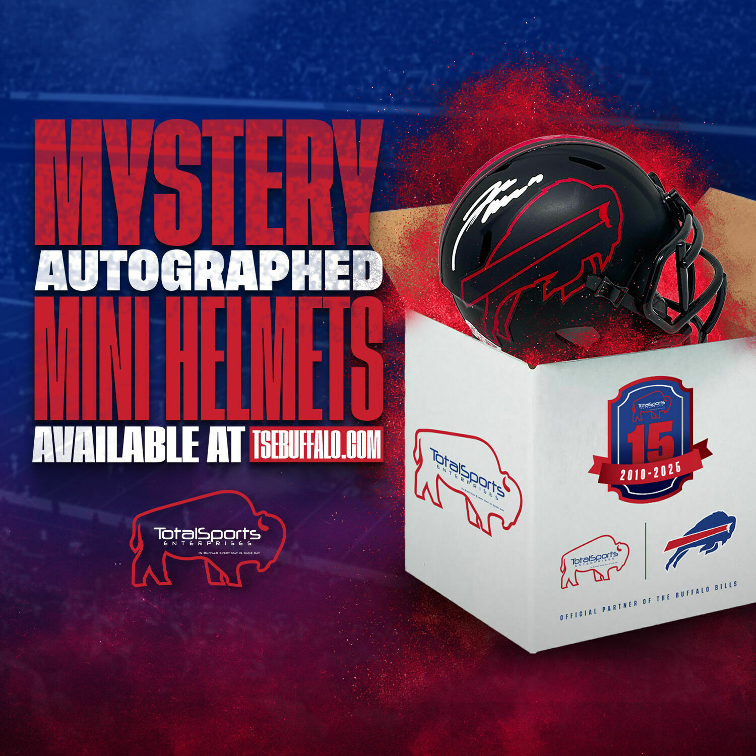 Buffalo Bills Mystery Mini Helmet